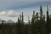 28 - Banff to Icefields - IMG_0943